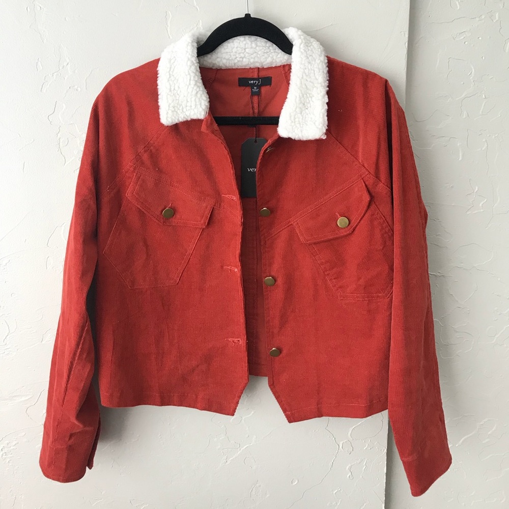 Fur Lined Jacket - image 1